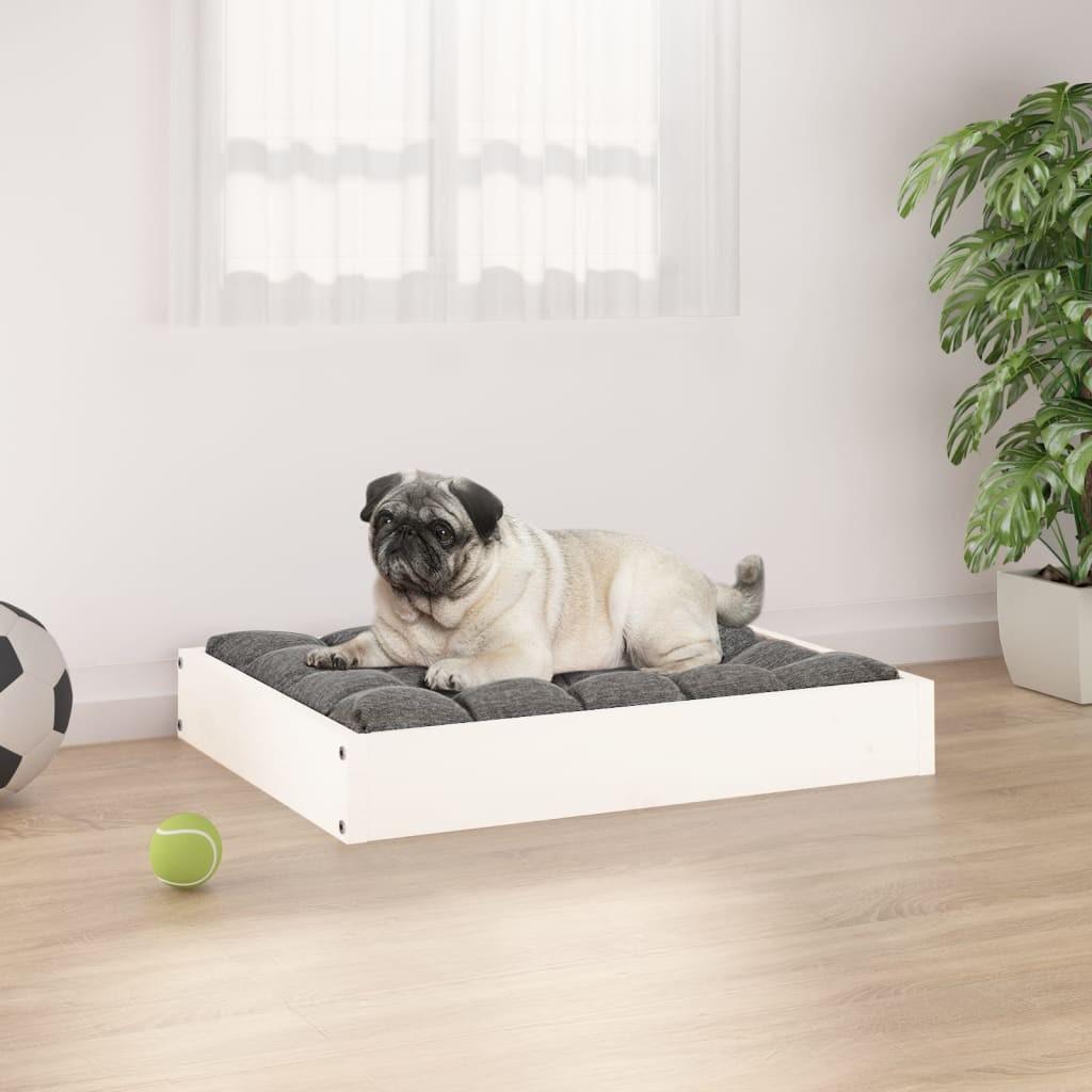 Hundeseng 5x49x9 Massivt Fyrretræ Hvid 8720287137405