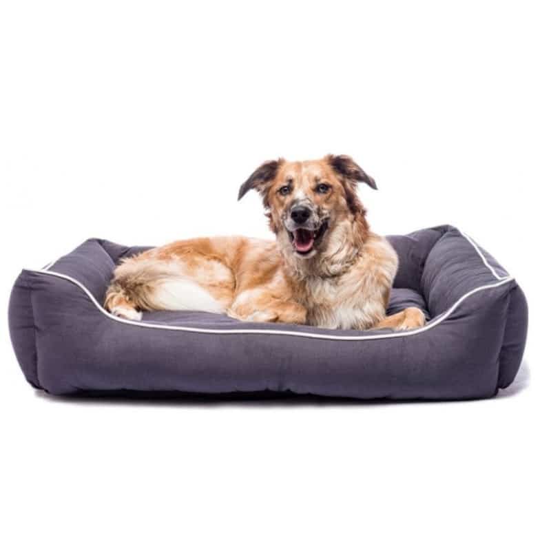 Dog Gone Smart Lounger Hundeseng Brun 849670002576