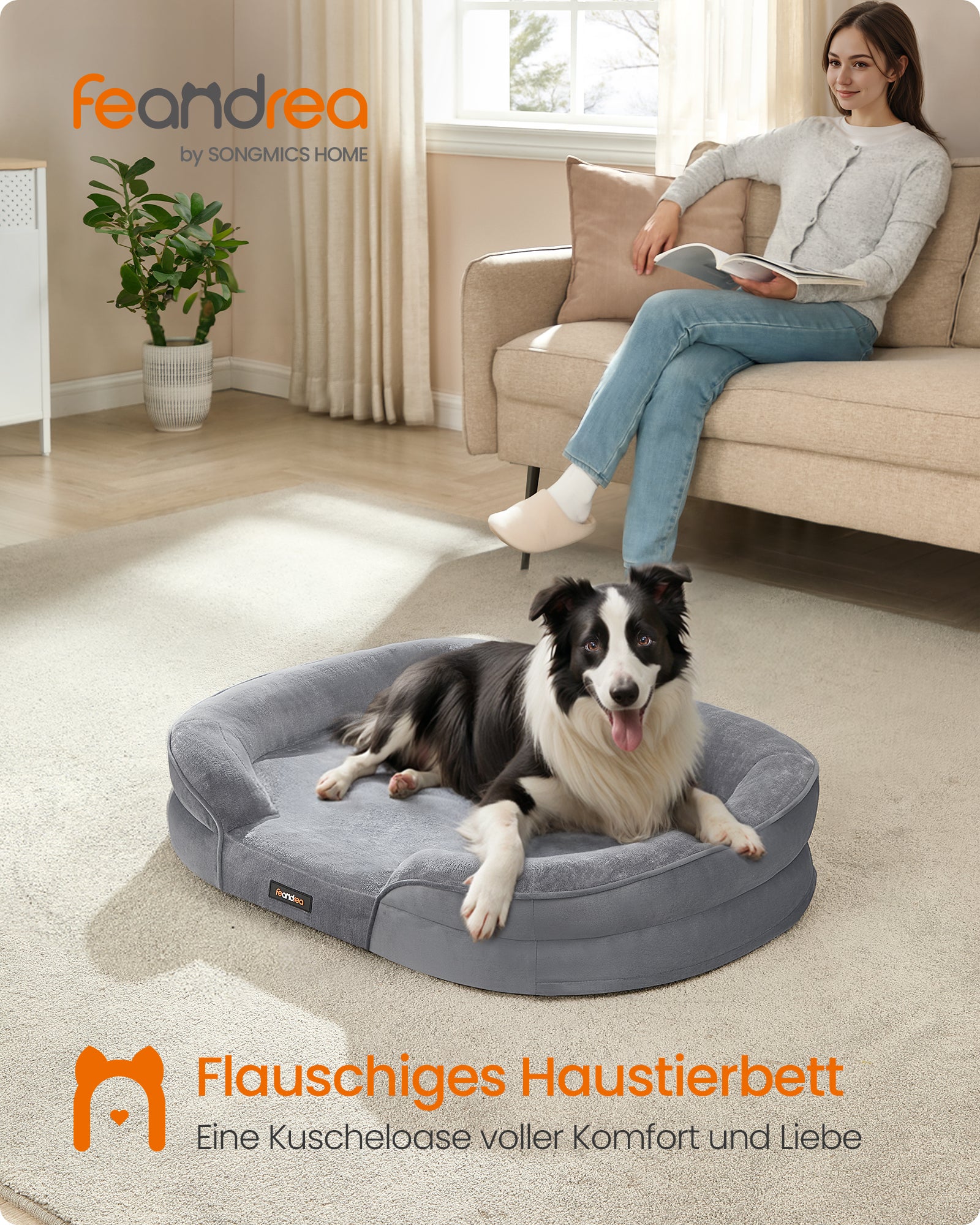 Liva Hundeseng Lysegrå 0194343329826